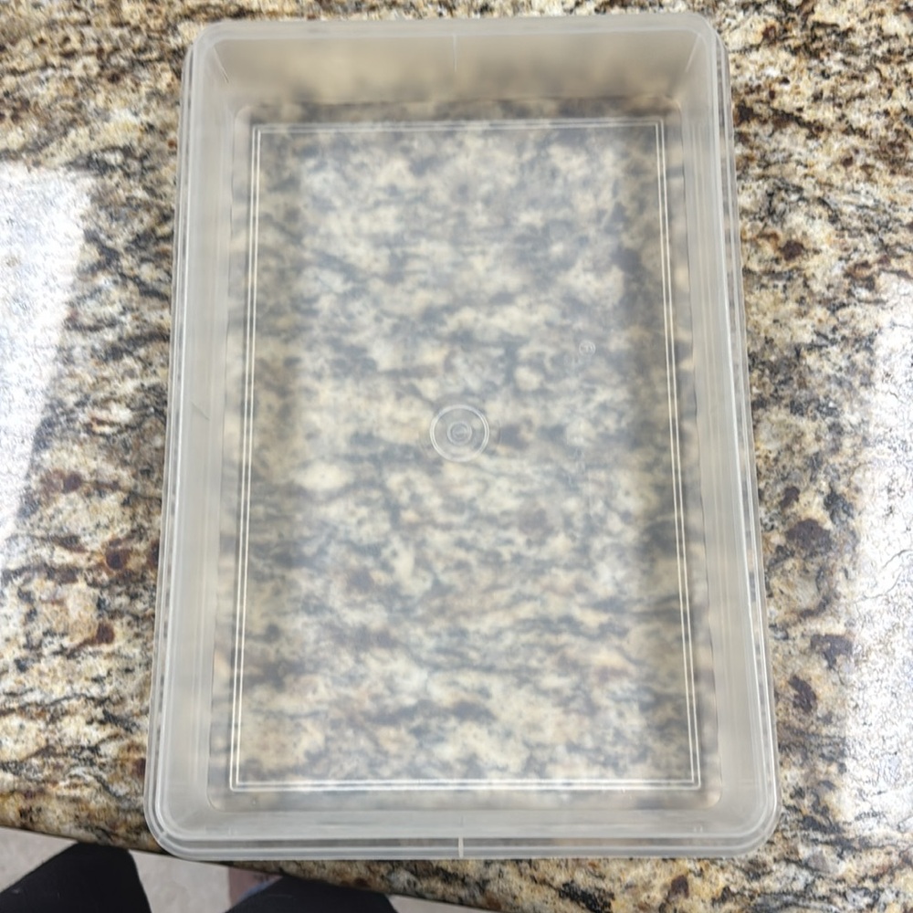 Tupperware Rectangle Container 290-9 White/Clear Body - Picture 13 of 16
